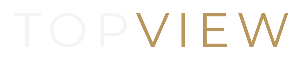 TopView Logo